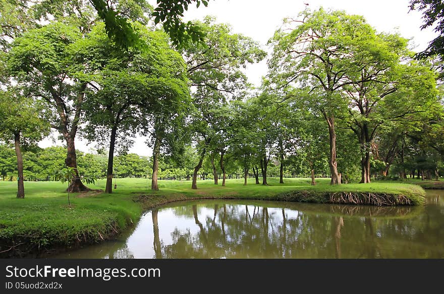 Peaceful park