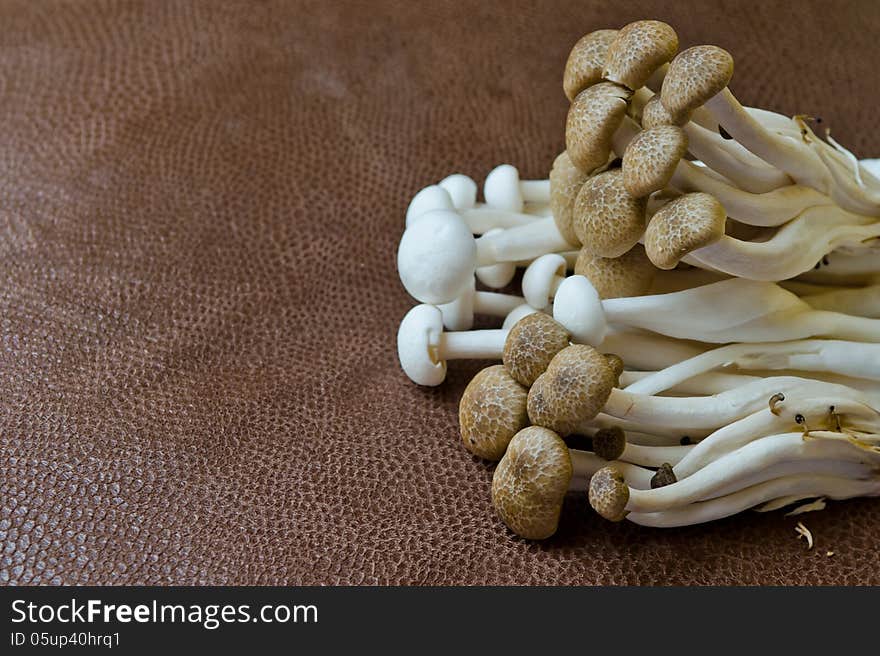 Group of Brown Beech mushroom and White Crab mushroom on brown background. Group of Brown Beech mushroom and White Crab mushroom on brown background