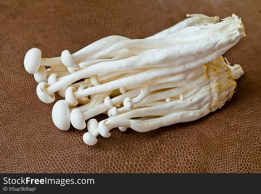 Group of White crab mushroom on brown background