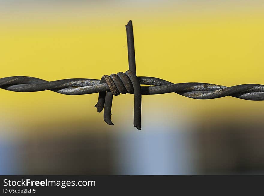 Barbed wire close up