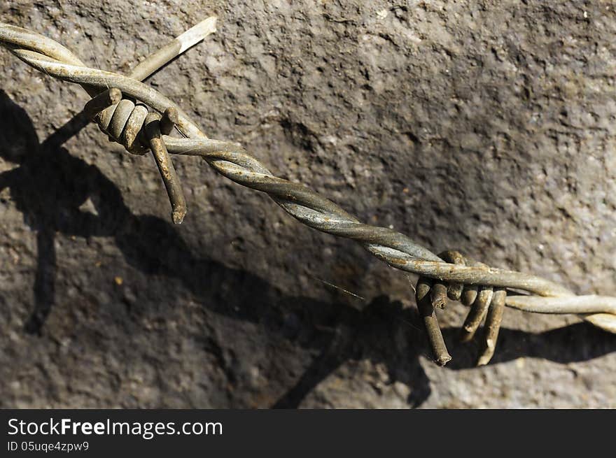 Barbed wire close up