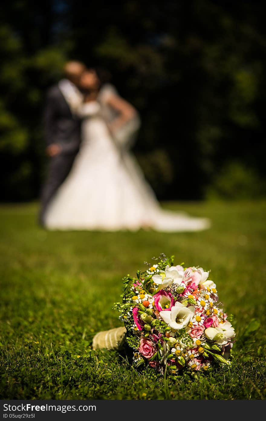 Newlyweds at the wedding flower meadow. Newlyweds at the wedding flower meadow