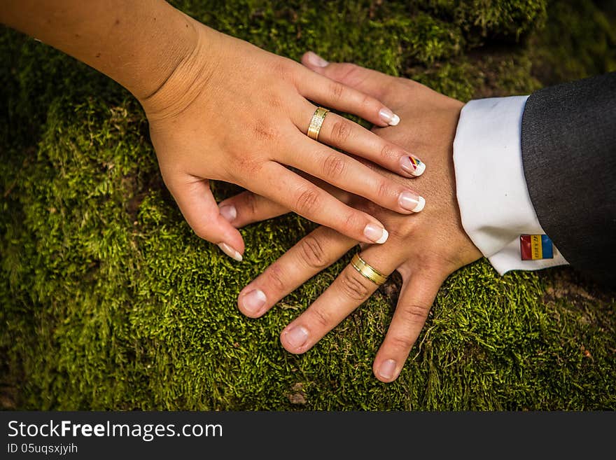 Rings on the hands of the newlyweds. Rings on the hands of the newlyweds