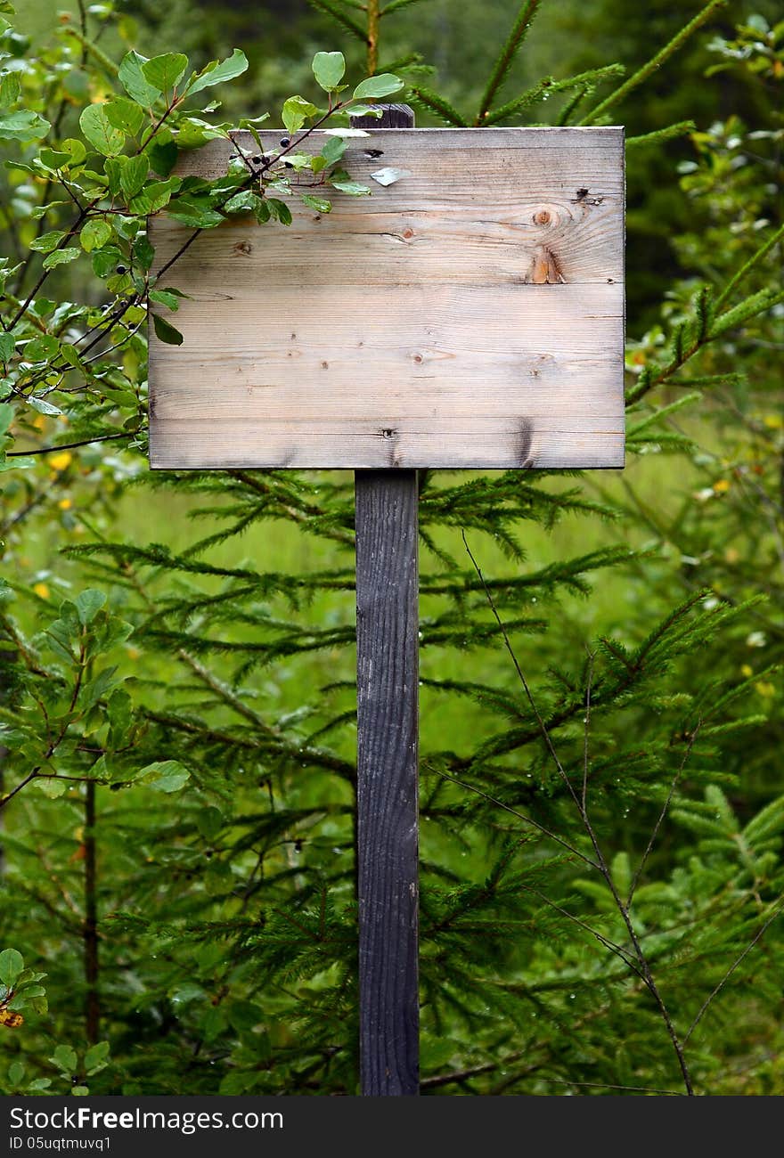 Overgrown Wooden Sign