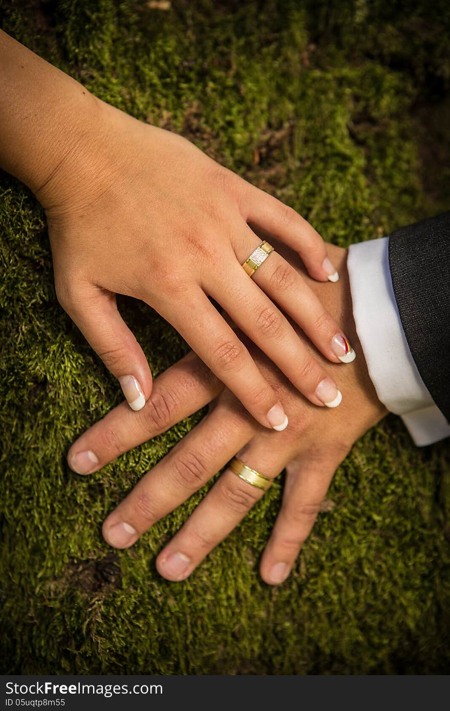 Newlyweds hands with rings