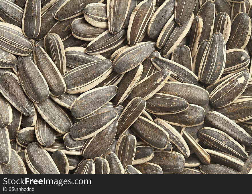 Sunflower Seeds