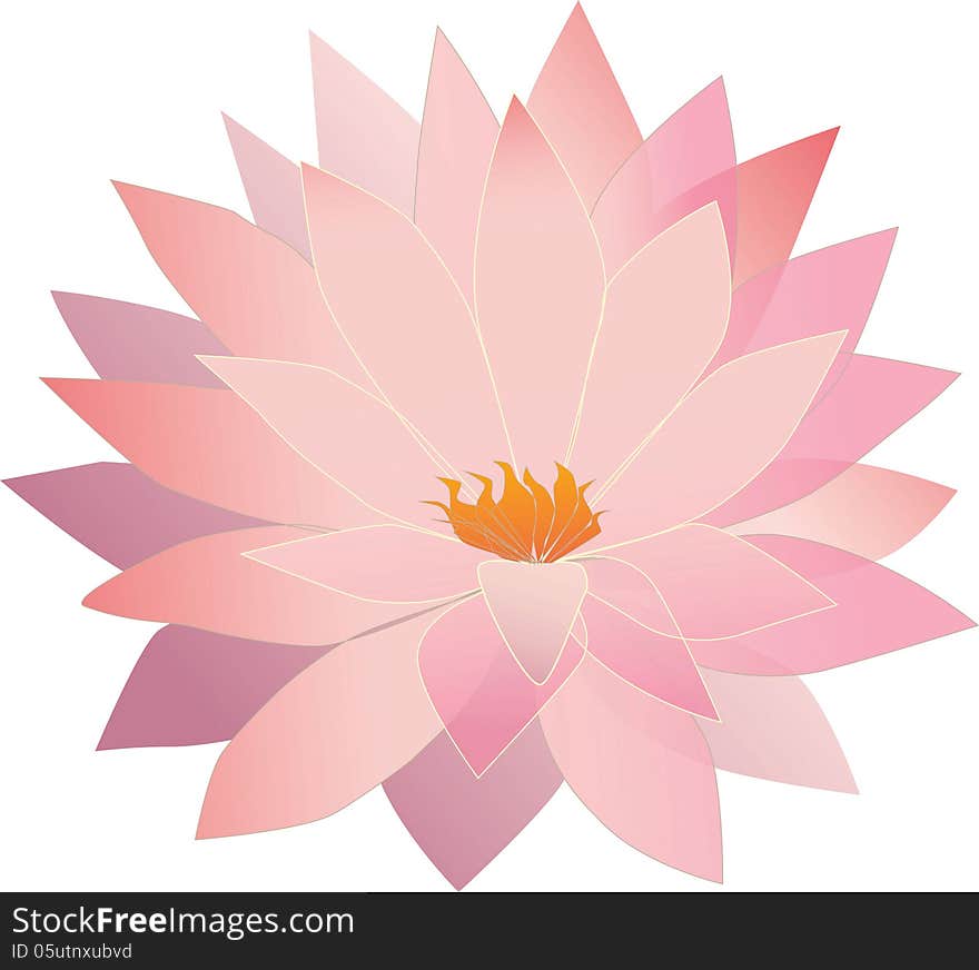 Translucent lotus flower