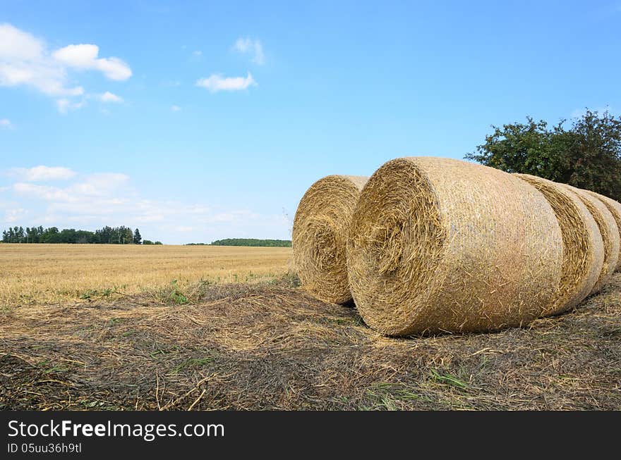 Hay Bales