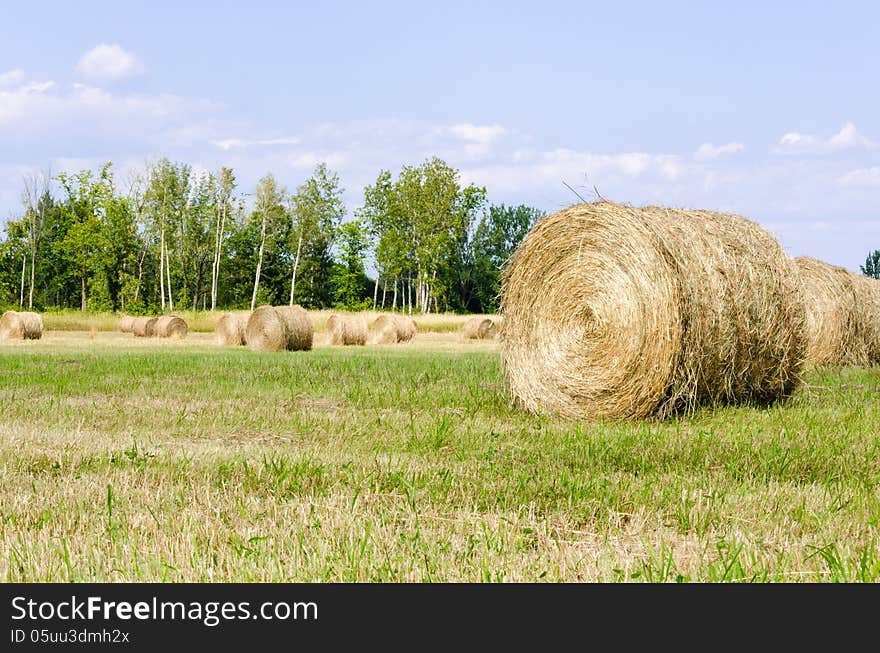 Hay Bales