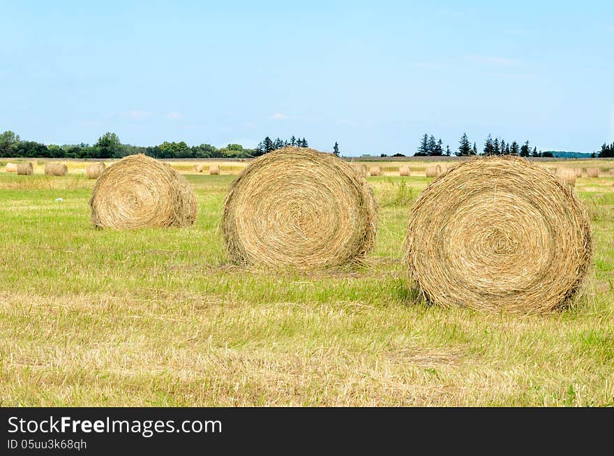 Hay Bales