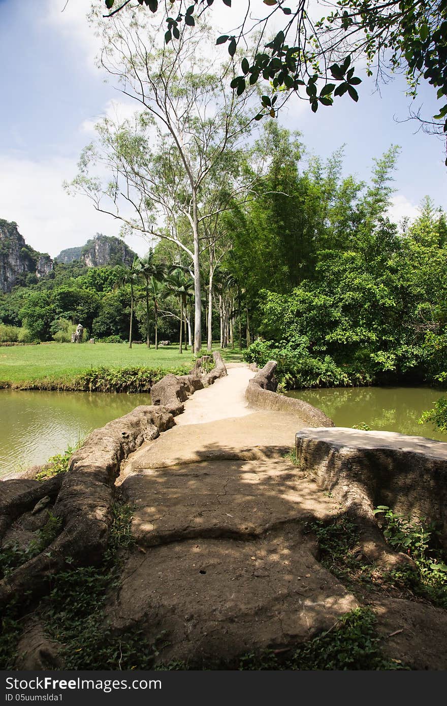 Chinese garden landscape