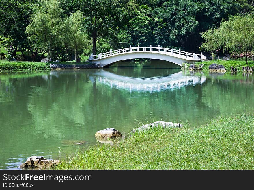 Green trees,grass,lake and a stone arch bridge in Chinese garden. Green trees,grass,lake and a stone arch bridge in Chinese garden