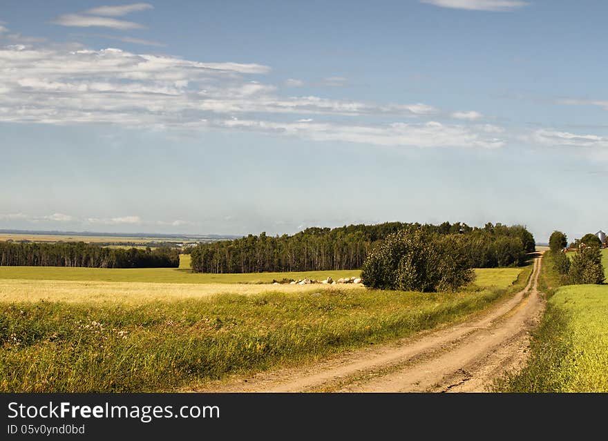 The road ahead