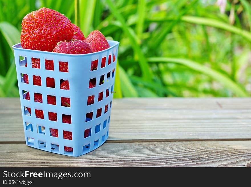 Strawberries in blue plastic basket on the wooden plank and blurred background. Strawberries in blue plastic basket on the wooden plank and blurred background