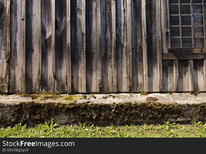 Moss and Wood Background