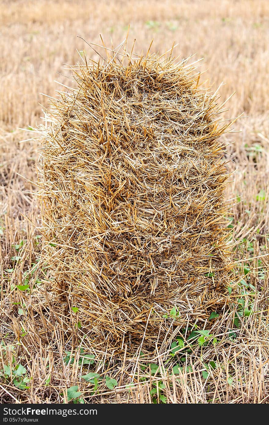 One haystack in a field