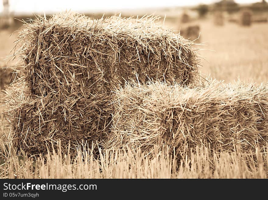 Haystack close-up lying on the summer day