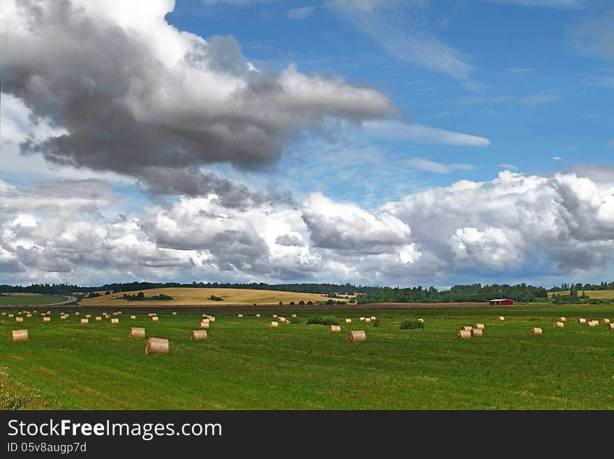 Straw rolls on green field under cloudy sky. Rural landscape. Straw rolls on green field under cloudy sky. Rural landscape