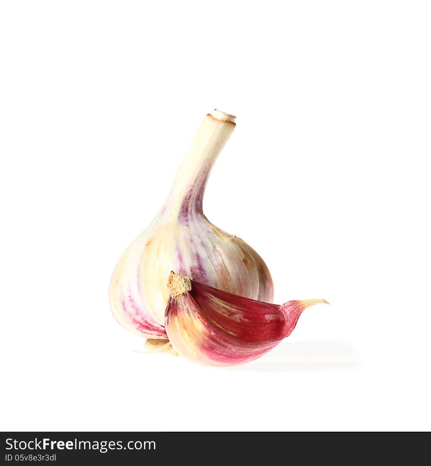 Garlic whole head and clove on white background with shadow