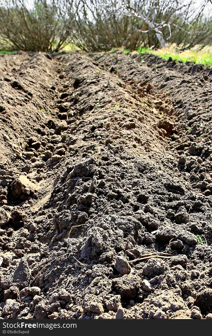 Plowed soil