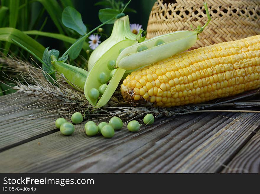 Abstract rural still life with green peas, corn, wheat and straw hat. Abstract rural still life with green peas, corn, wheat and straw hat