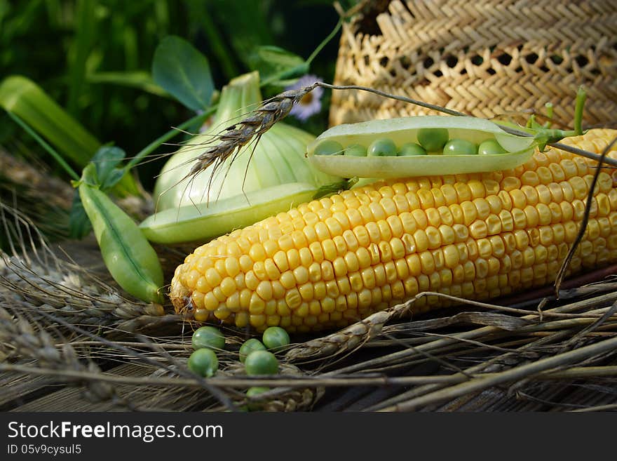 Summer vegetable still life with a green pot, corn, onions and straw hat. Summer vegetable still life with a green pot, corn, onions and straw hat.