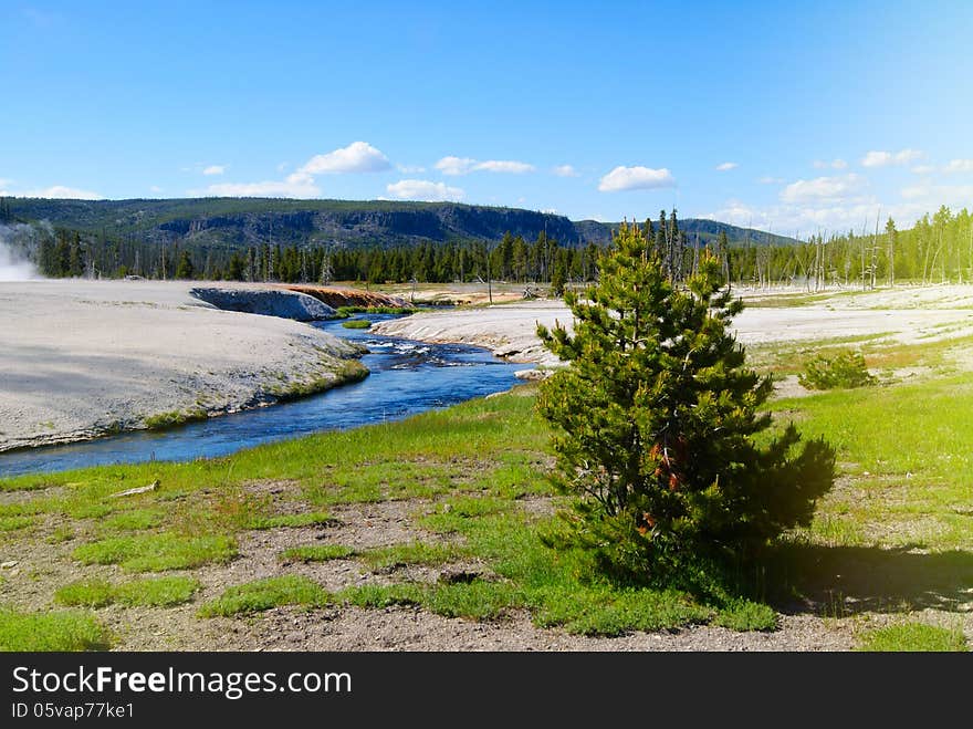 Beautiful landscape. Yellowstone National Park. Beautiful landscape. Yellowstone National Park