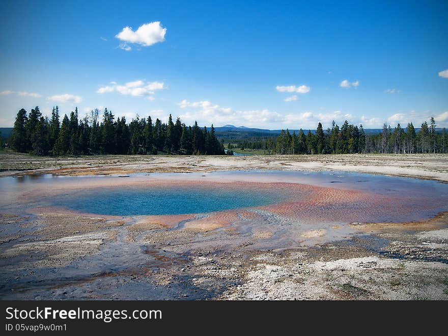 View at geyser lake. Yellowstone National Park.