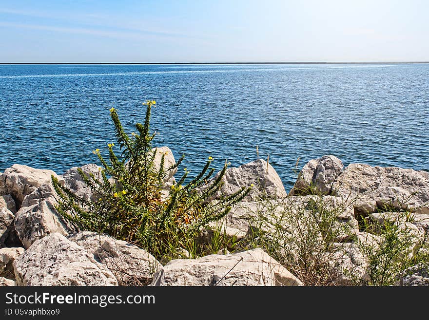 Calm view of Lake Michigan