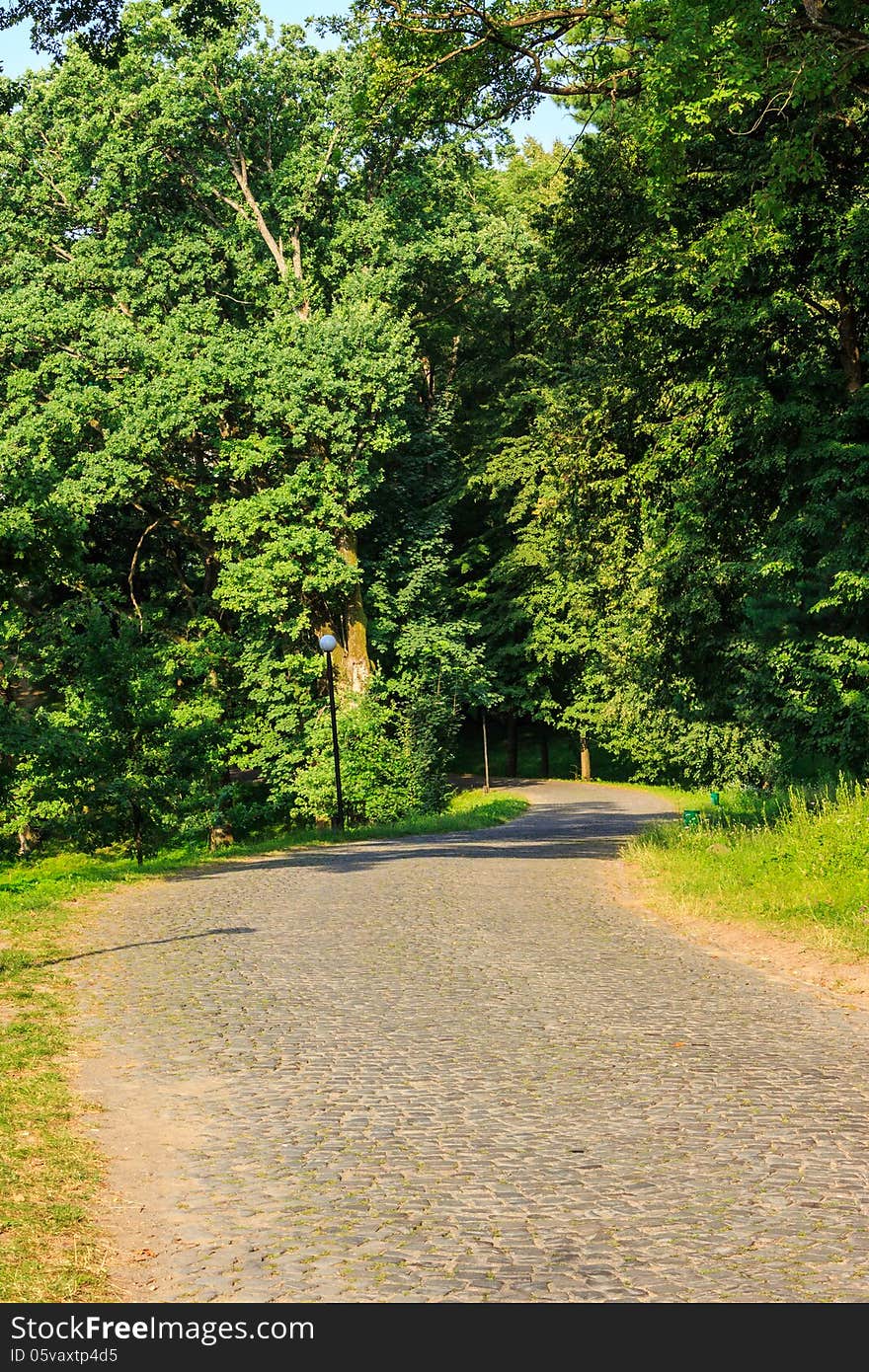 Paved path winding among the trees in a city park vertical. Paved path winding among the trees in a city park vertical