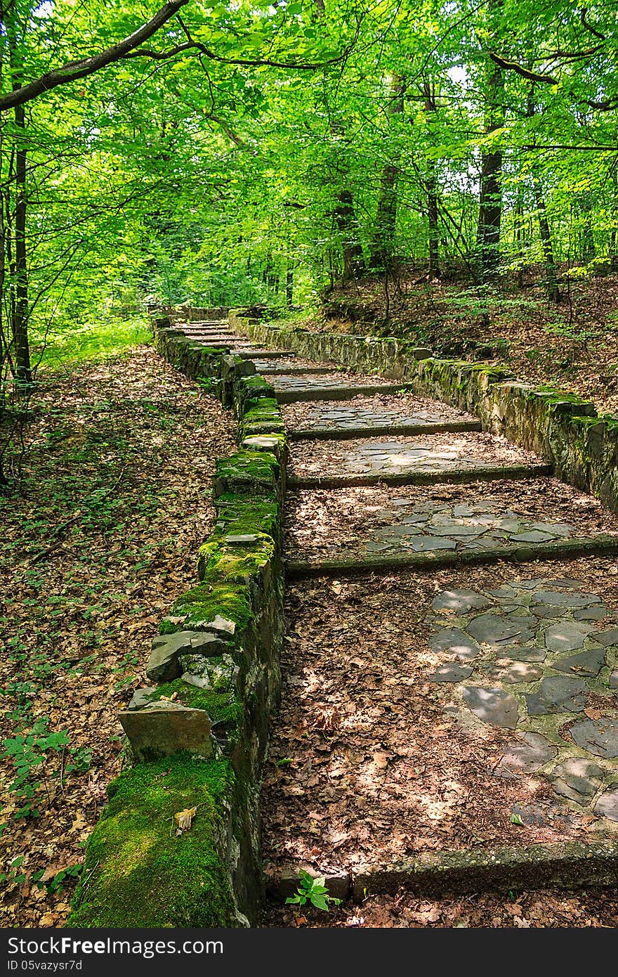 Winding path with steps made ​​of stone among the trees in a city park is covered with foliage vertical. Winding path with steps made ​​of stone among the trees in a city park is covered with foliage vertical