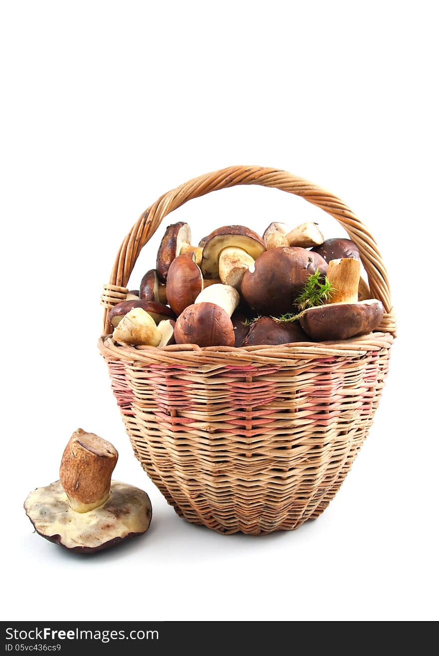 Basket Mushrooms