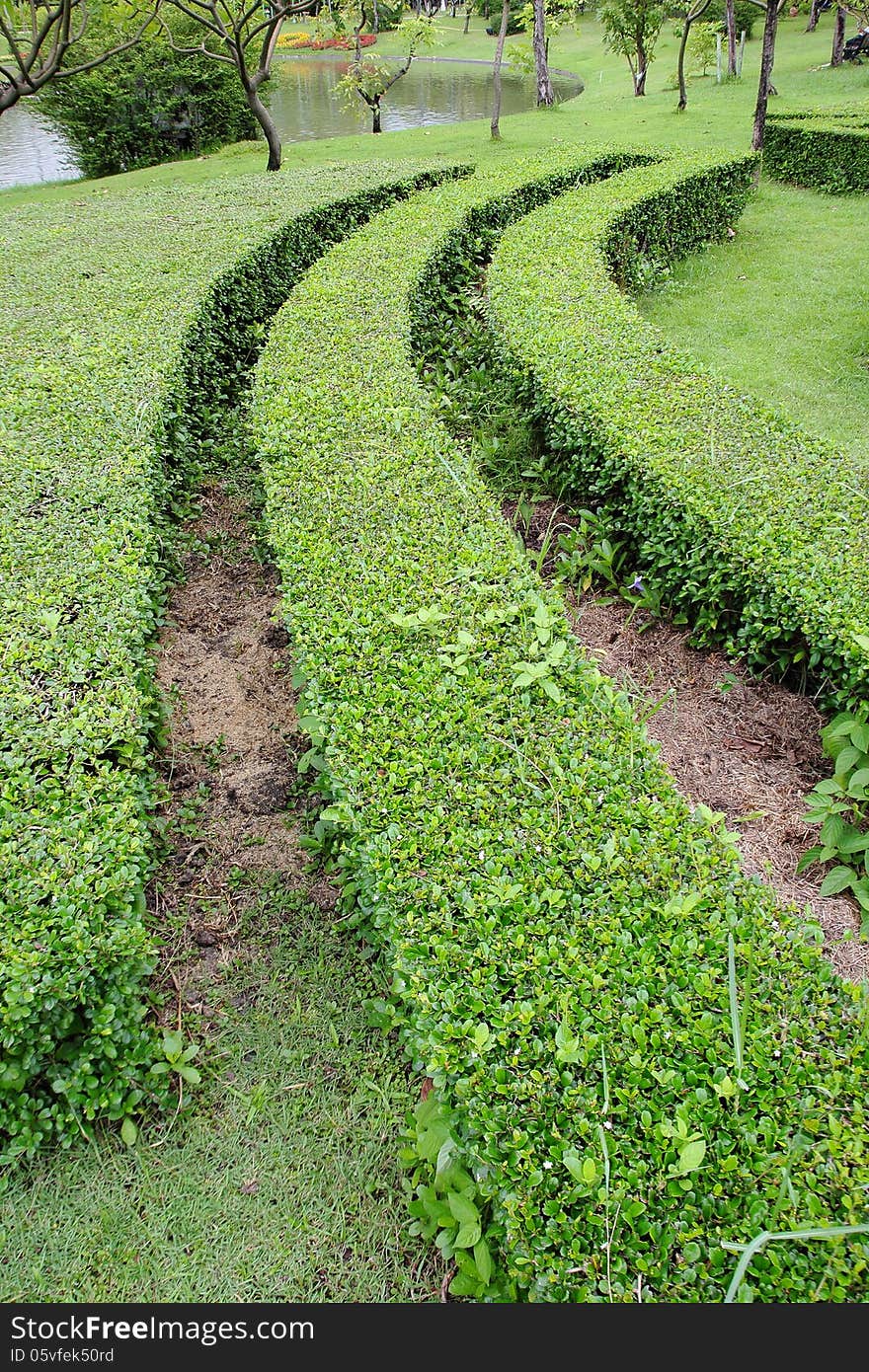 Decorative green park in thailand