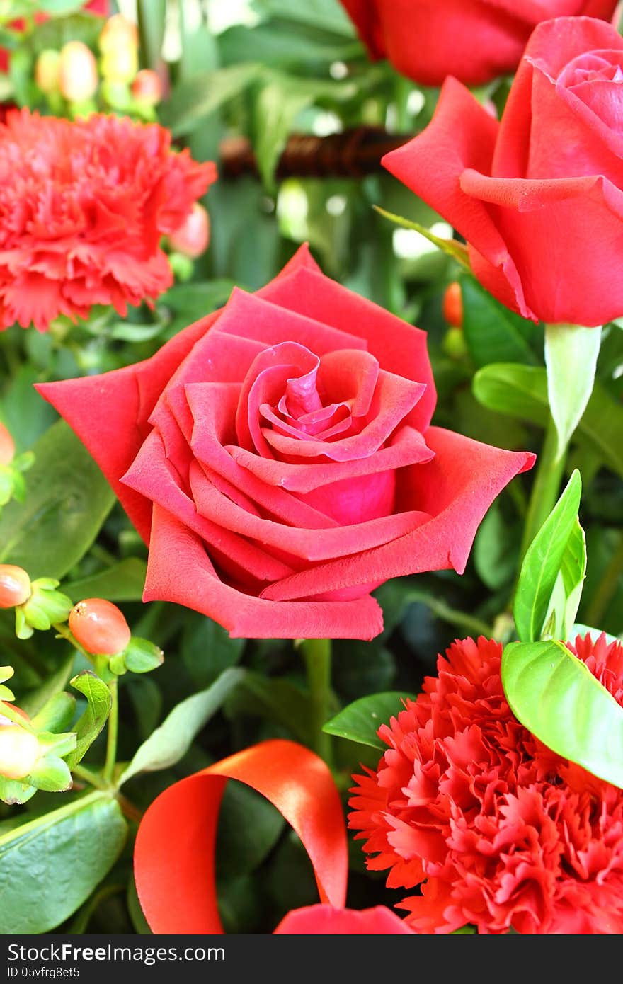 Closeup rose Flower in market. Closeup rose Flower in market