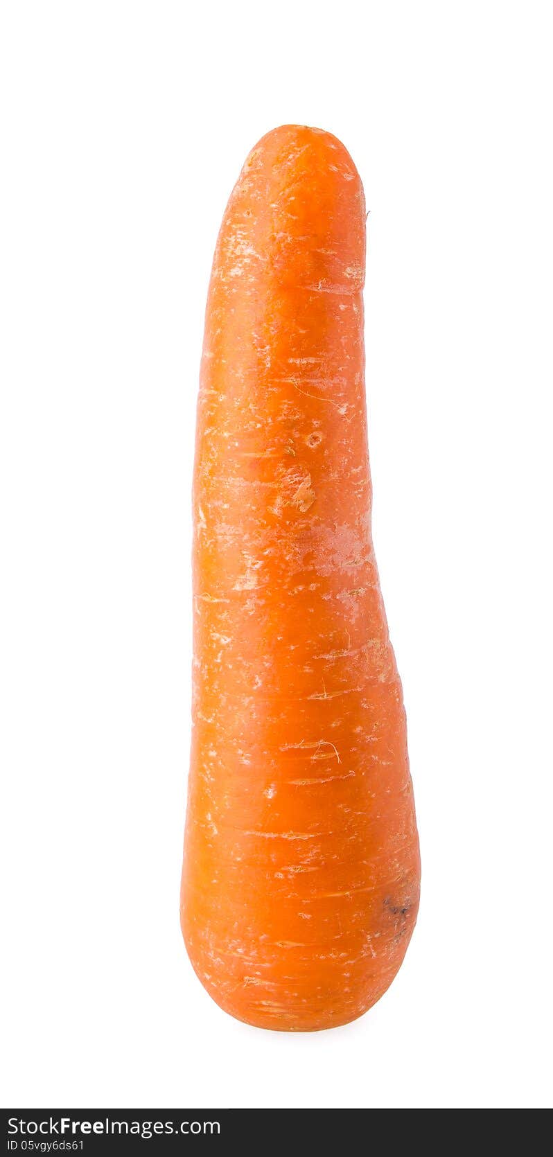 Fresh Carrots