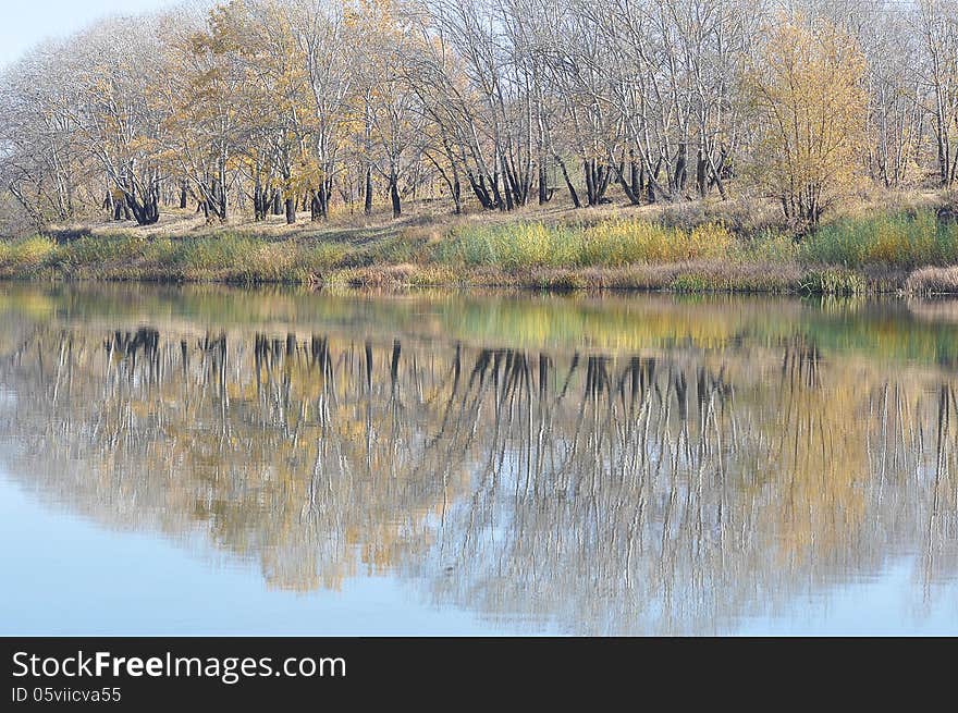 Trees in autumn, city of Orenburg, Southern Ural, Russia