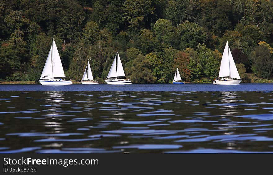 Sailing boats on a lake in summer