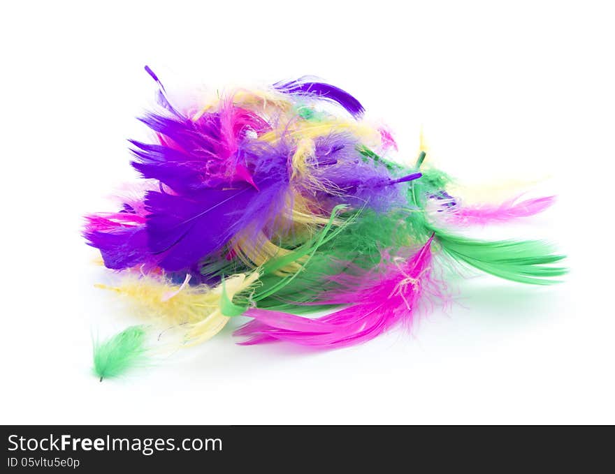 Pile of colorful feathers isolated on white background