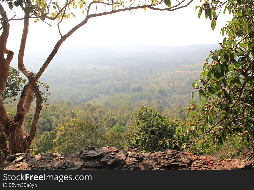 Nature cliff and tropical plant at Phu Phra Bat Historical Park in Udon Thani Thailand.