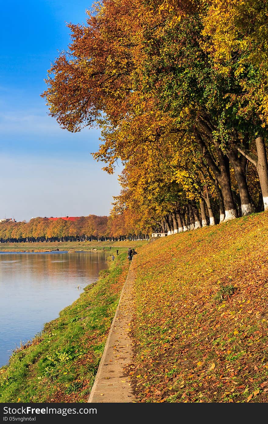 Yellow autumn foliage on the embankment and the clear blue sky reflected in the river vertical. Yellow autumn foliage on the embankment and the clear blue sky reflected in the river vertical