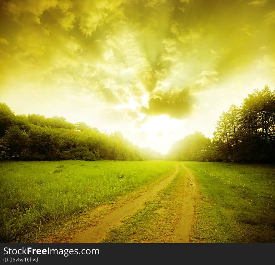 Rural road through the field