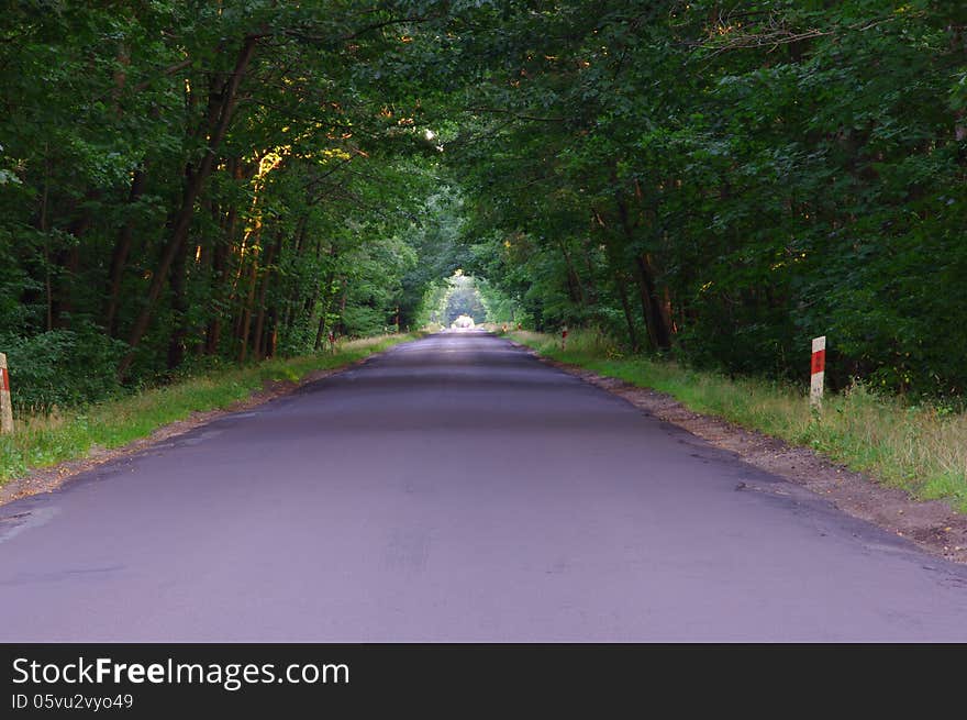 The photograph shows an asphalt road running by deciduous forest. Growing trees beside the road on her picturesque form a tunnel. The photograph shows an asphalt road running by deciduous forest. Growing trees beside the road on her picturesque form a tunnel.