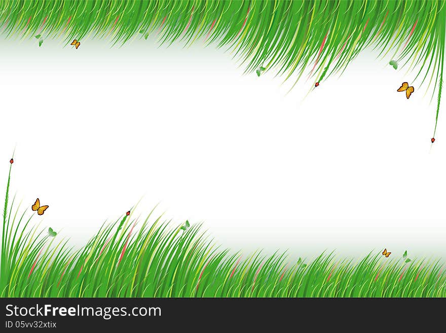 Green grass isolated on white background.,vector illustration