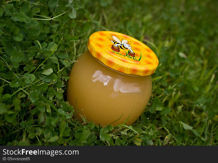 Nice gift jar of honey on grass background