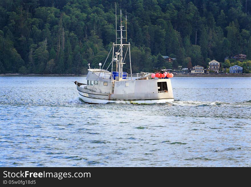 A customized tug turned into a fishing boat with bumpers on the back end and tall antenna. Fishing is a typical common sight in Puget Sound Washington. A forested hill and waterfront neighborhood in the background. A customized tug turned into a fishing boat with bumpers on the back end and tall antenna. Fishing is a typical common sight in Puget Sound Washington. A forested hill and waterfront neighborhood in the background.