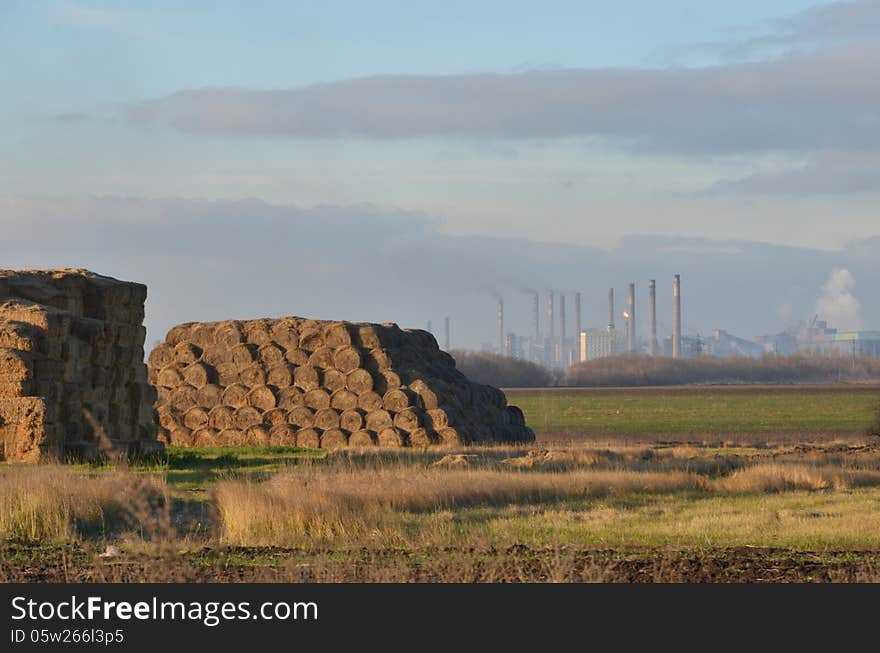 haystacks on the background of the plant