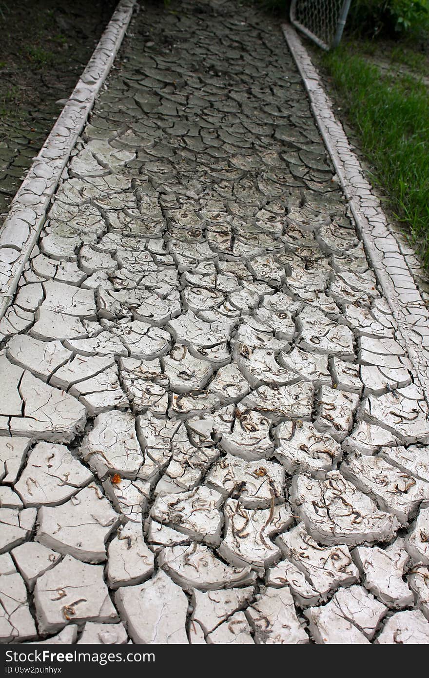 Cracked Mud Path Caused by Flood. Cracked Mud Path Caused by Flood