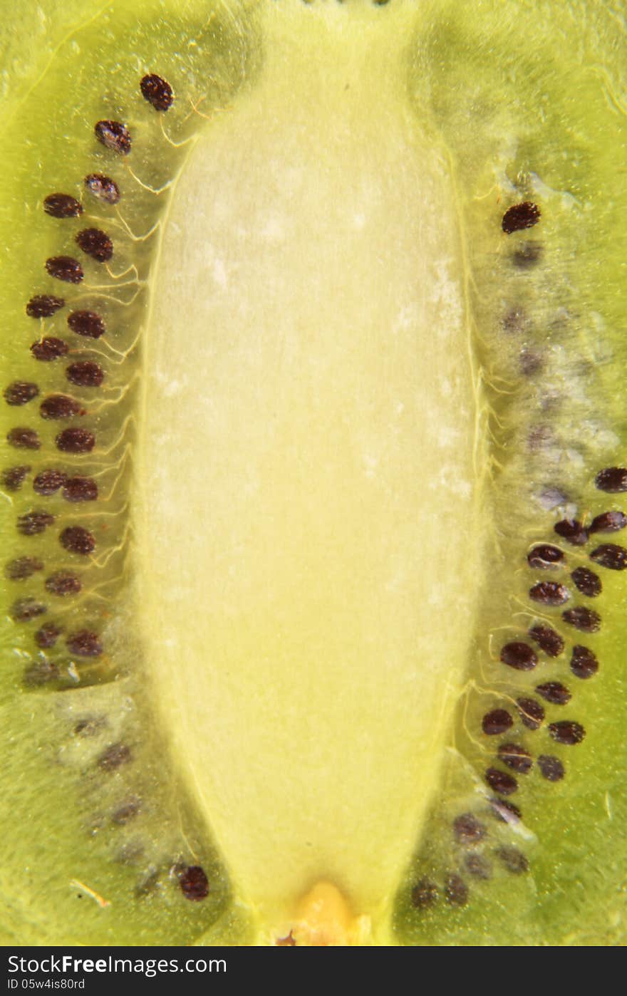 Longitudinal section of kiwi background