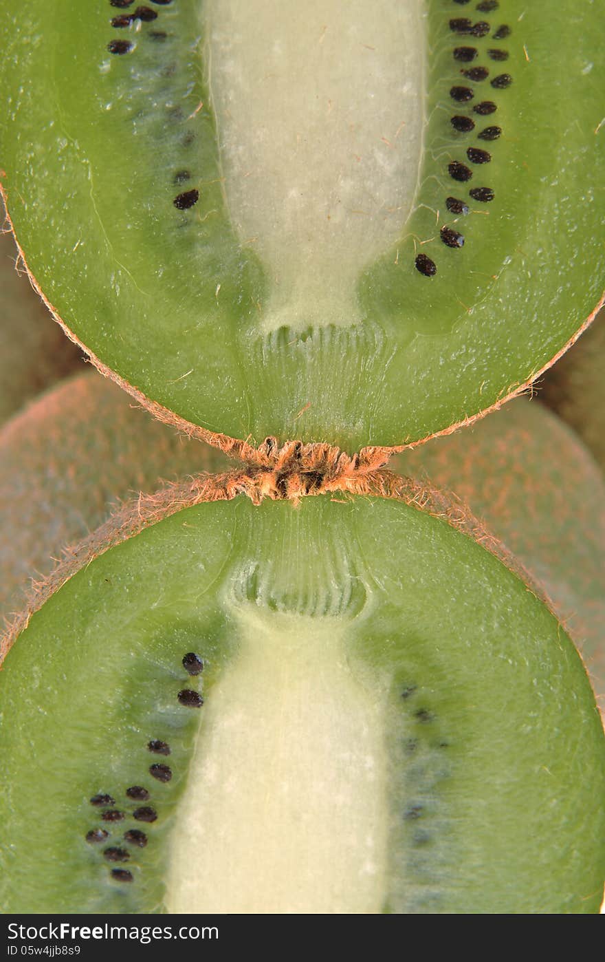 Longitudinal section of kiwi background