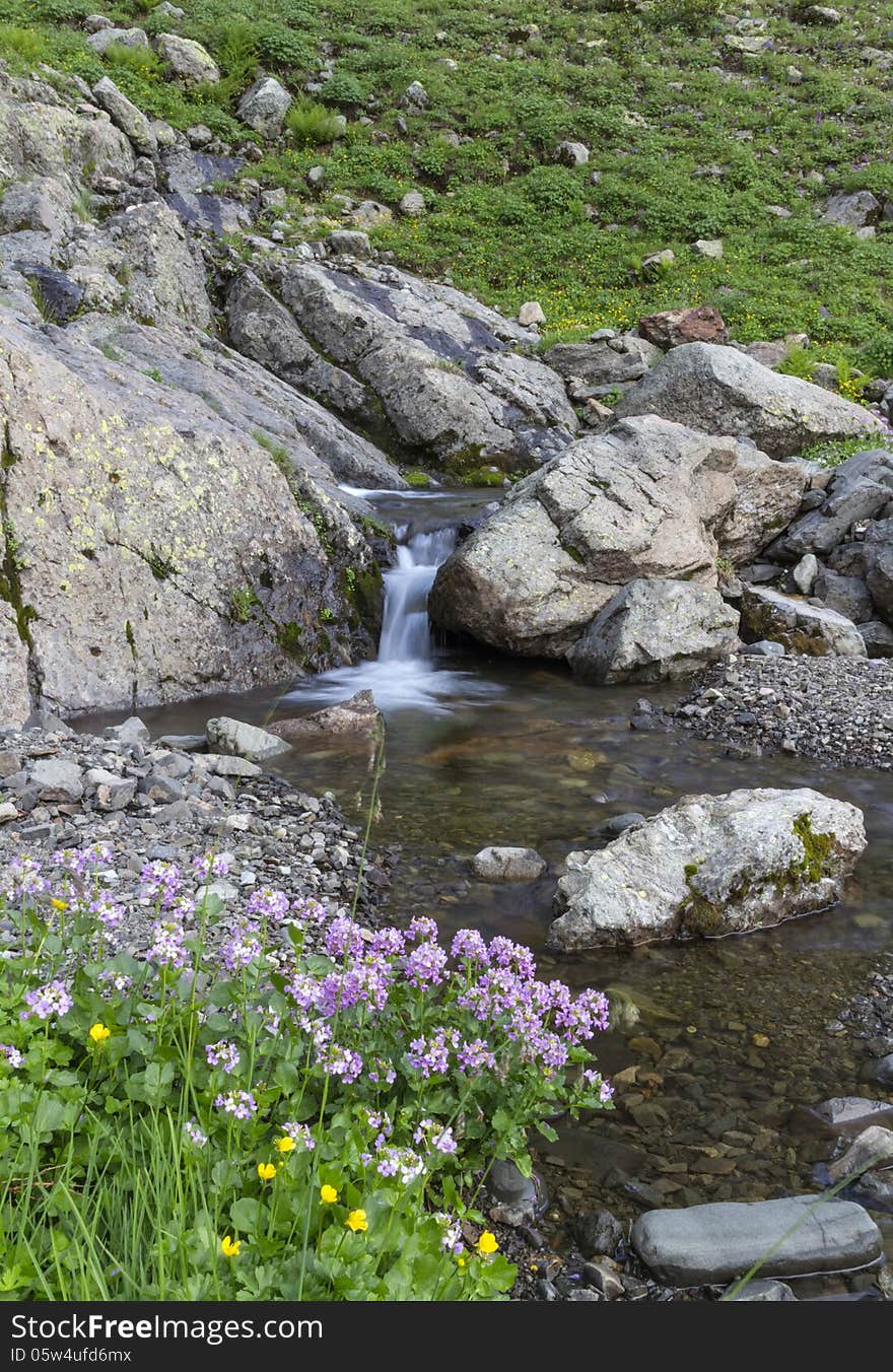 Landscape with high mountain, green grass, flower and rill flow